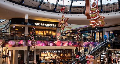 Badanie: niemal 70 proc. Polaków planuje ograniczyć wydatki świąteczne-105871