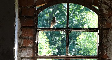 Niedziela Palmowa otwiera w Kościele Wielki Tydzień, który wieńczy Triduum Paschal