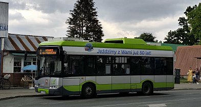 Ostródzka komunikacja miejska w liczbach. Autobusy przejechały niemal pół mln km.
