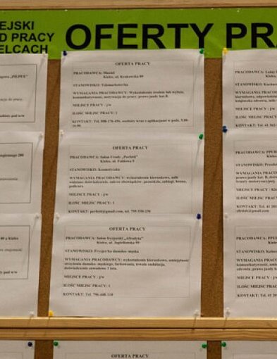 Raport: liczba ofert w pracy w sierpniu br. o 13 proc. mniejsza niż przed rokiem-103017