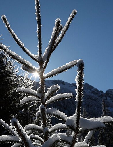 Czekają nas mroźne i słoneczne święta-106068