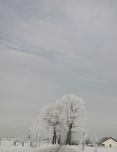 Przygotowanie do podróży podczas ferii zimowych-106678