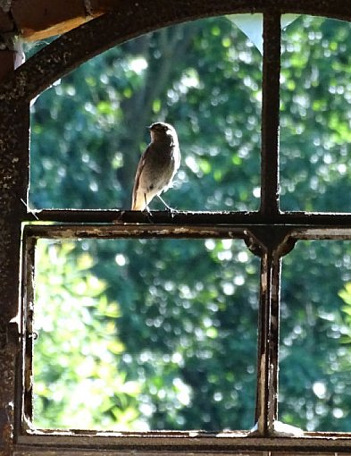 Niedziela Palmowa otwiera w Kościele Wielki Tydzień, który wieńczy Triduum Paschal