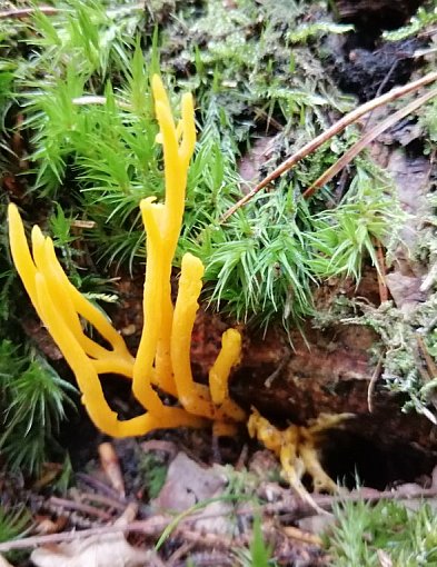 22 kwietnia – Dzień Ziemi. Co naprawdę oznacza troska o planetę