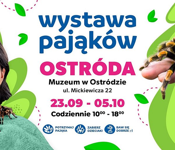 Ostróda: Zobacz groźne pająki i weź ptasznika na ręce!-102979