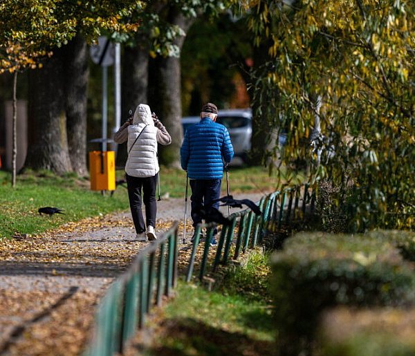 Naukowcy: dłuższy spacer lepszy niż kilka krótkich - 104204