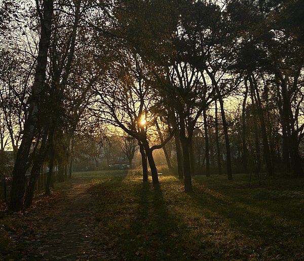 Nadchodzi najkrótszy dzień w 2025 roku. Sprawdź, kiedy przypadnie-106018