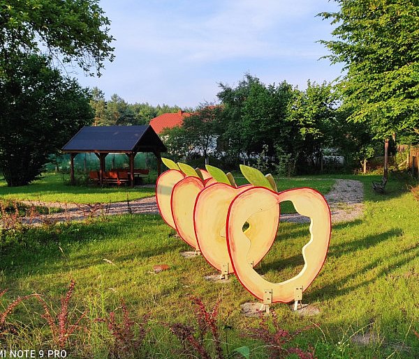 Stare Jabłonki: Stowarzyszenie Wieś Jabłkowych Smaków z dofinansowaniem