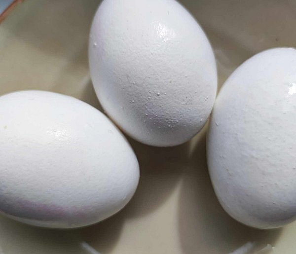 Dietetyczka: jajka to wartościowy składnik wielkanocneg