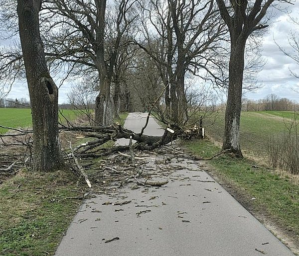 Pracowite święta strażaków w powiecie ostródzkim – 41 interwencji w dwa dni