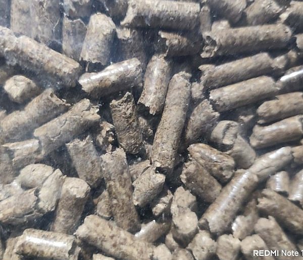 Raport: ogrzewanie domu - najdroższe kotłem pelletowym