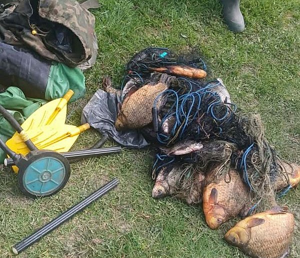 Kłusownicy zatrzymani po powrocie z połowu. Ojciec i syn przed sądem