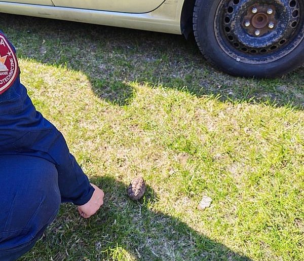 Łukta: Pracowała w ogródku - znalazła granat!