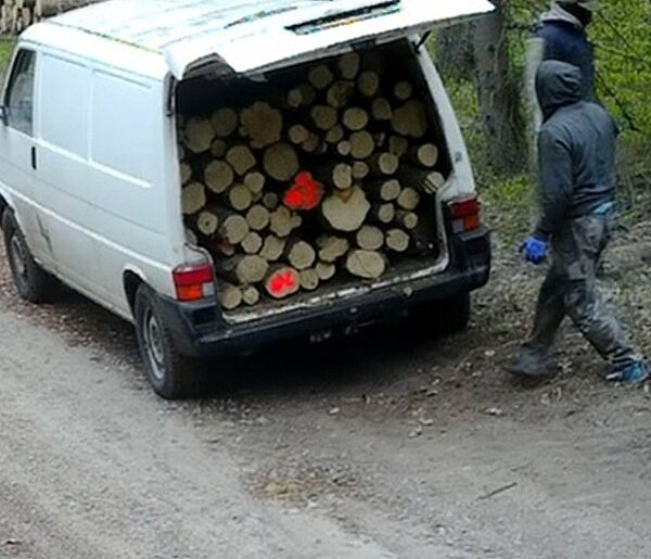 Kradzież drewna w kominiarkach pod Ostródą.