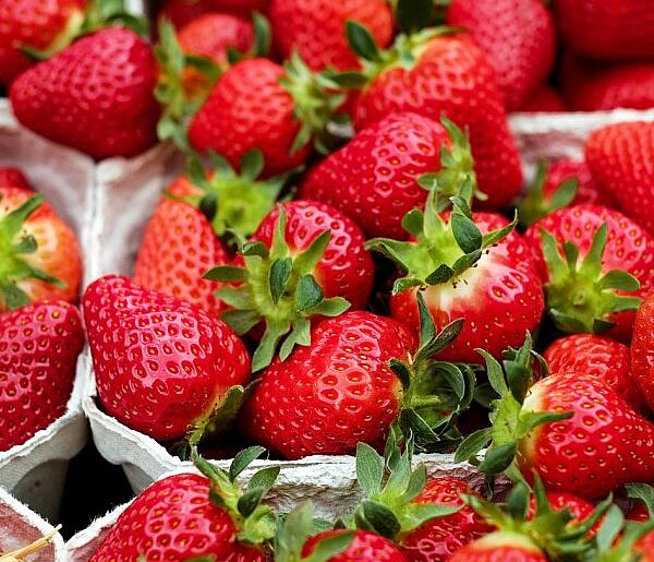 Tak oszukują klientów na truskawkach. Uważaj przy zakupach