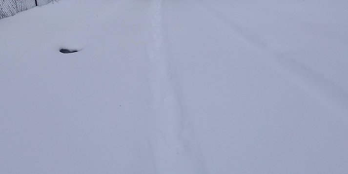 Ostrzeżenie IMGW dla Ostródy i powiatu przed opadami śniegu