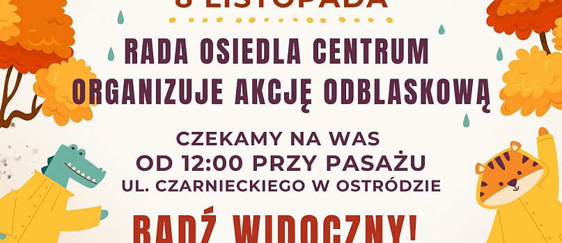 Akcja Odblaskowa - Bądź Widoczny! Bądź Bezpieczny! Noś Odblaski-818