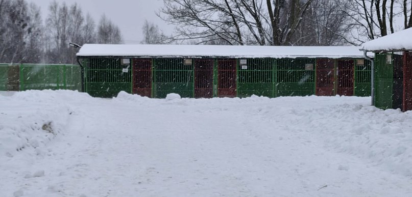 Czy Miejskie Schronisko będzie przyjmować zwierzęta z terenu gminy wiejskiej Ostró