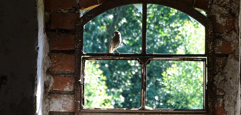 Niedziela Palmowa otwiera w Kościele Wielki Tydzień, który wieńczy Triduum Paschal