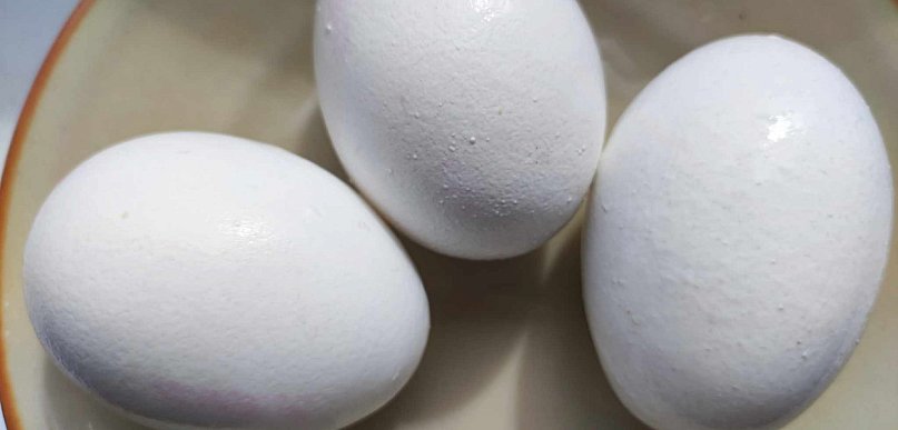 Dietetyczka: jajka to wartościowy składnik wielkanocnego menu