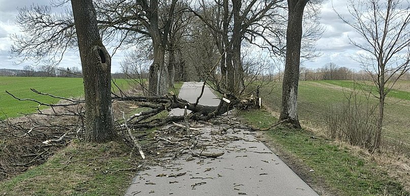 Pracowite święta strażaków w powiecie ostródzkim – 41 interwencji w dwa dni