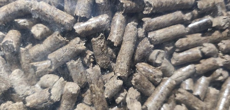 Raport: ogrzewanie domu - najdroższe kotłem pelletowym