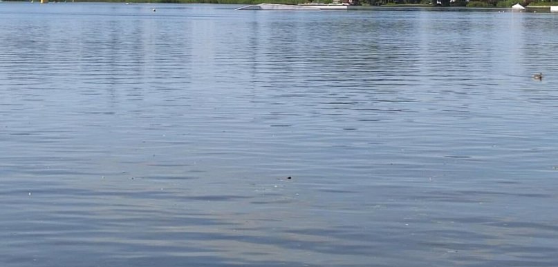 Olsztyn: W sezonie letnim w mieście będą cztery kąpieliska
