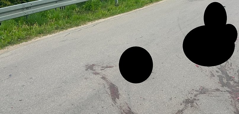 Durąg: Rozjechał ciężarną kotkę i zostawił ją na środku drogi