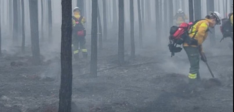 Olsztyn: Strażacy z Warmii i Mazur ruszyli do walki z pożarem lasów na Mazowszu