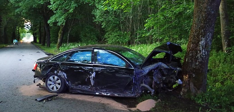 Pow. Bartoszycki: Rozbite audi przy drodze, śpiący nietrzeźwy na tylnym siedzeniu