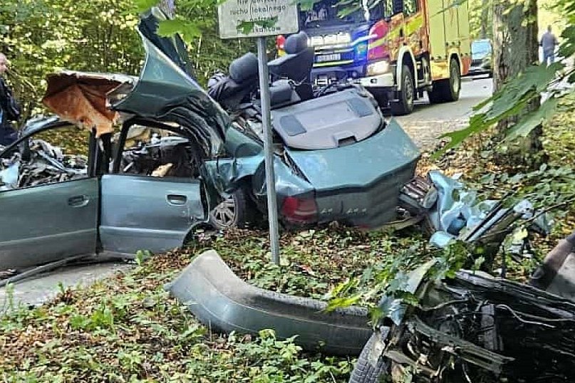 Samochód uderzył w drzewo - zginął 27-latek