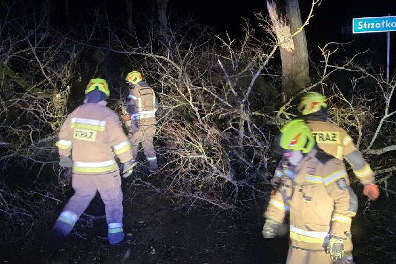 Silny wiatr w powiecie ostródzkim. Strażacy interweniowali 24 razy