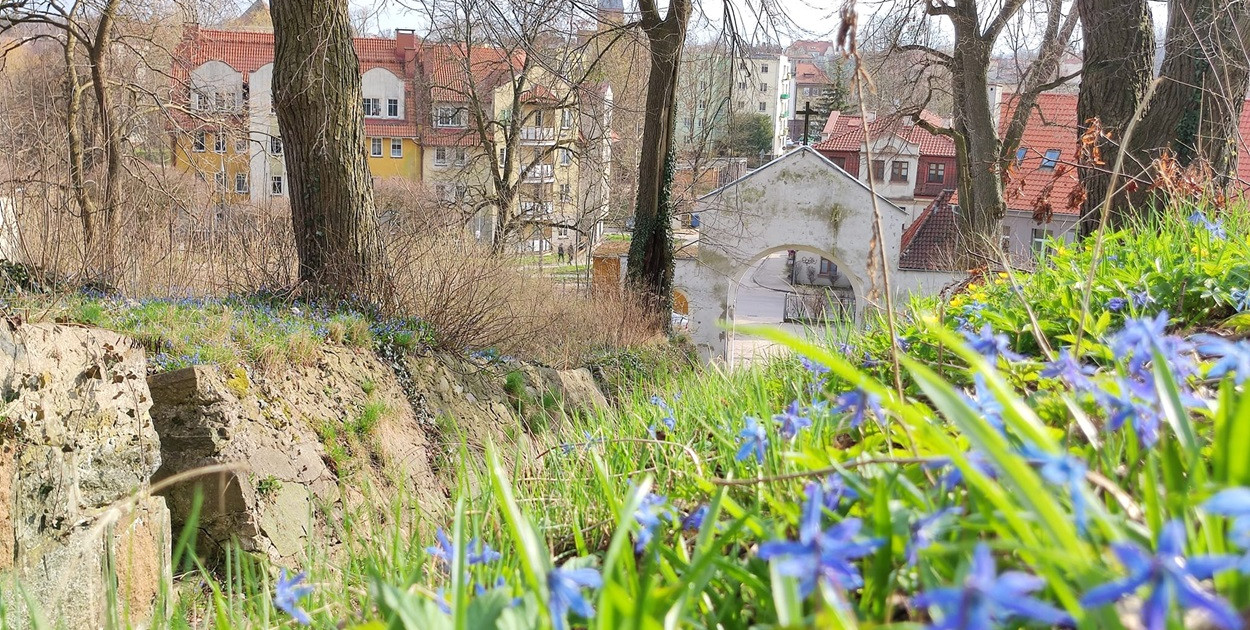 Foto: Ostróda Flesz