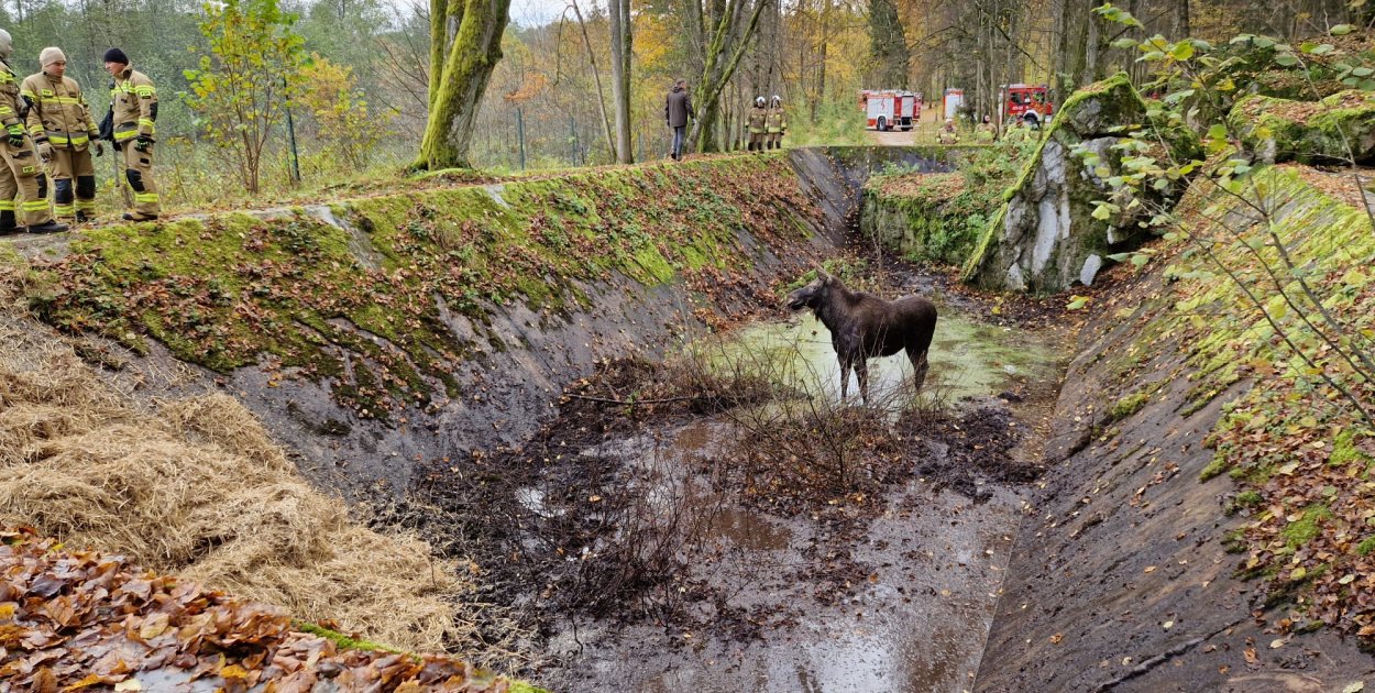 Foto: Nadleśnictwo Srokowo