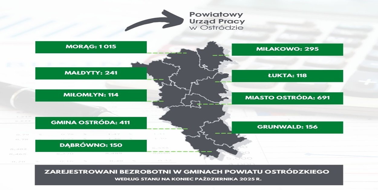 Grafika: PUP Ostróda