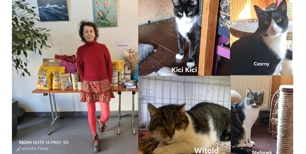 Foto: Ostróda Flesz/Kociarnia