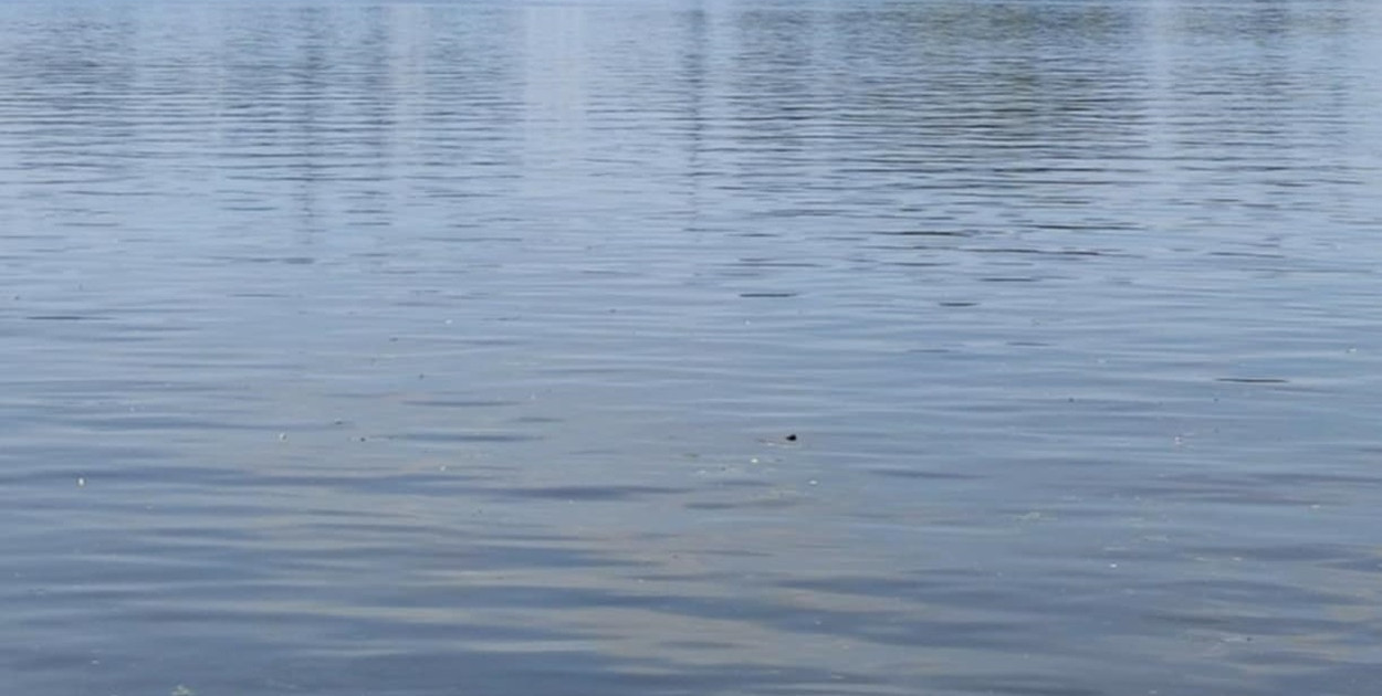 Foto: Ostróda Flesz/Marzena Matuszka