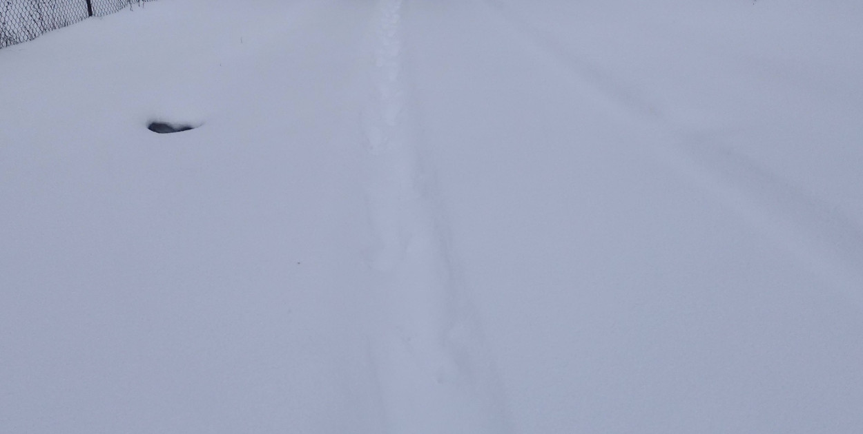 Foto: Ostróda Flesz/Łukasz Matuszka