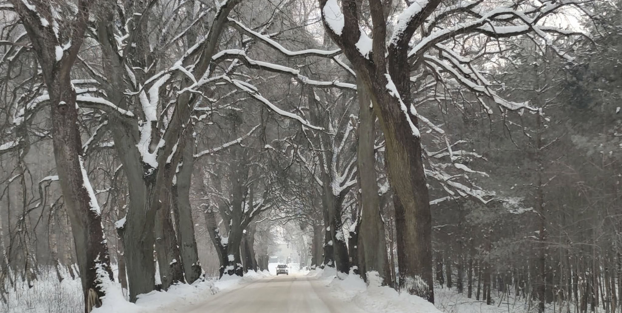 Foto: Ostróda Flesz/Marzena Matuszka