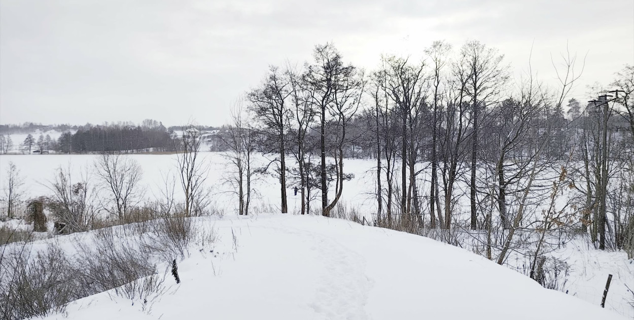 Prognoza pogody na 2 i 3 lutego
