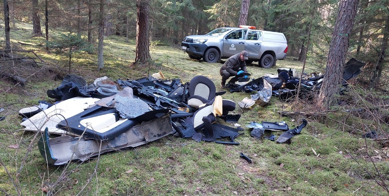 Ponad 2,5 mln zł kosztowało w zeszłym roku usuwanie śmieci z lasów regionu!