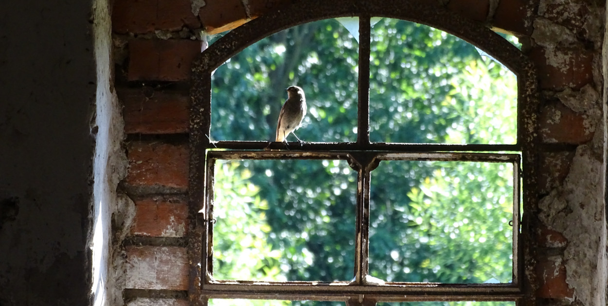 Niedziela Palmowa otwiera w Kościele Wielki Tydzień, który wieńczy Triduum Paschal