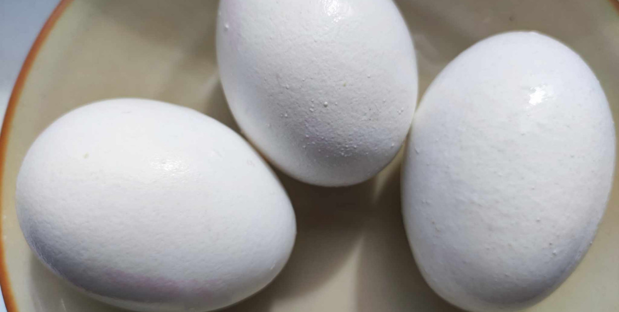 Dietetyczka: jajka to wartościowy składnik wielkanocnego menu