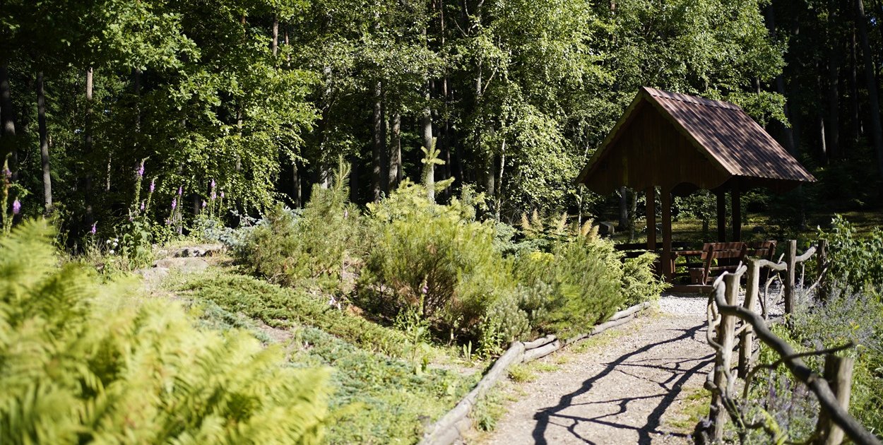 Leśne arboretum w Kudypach ponownie otwarte dla zwiedzających