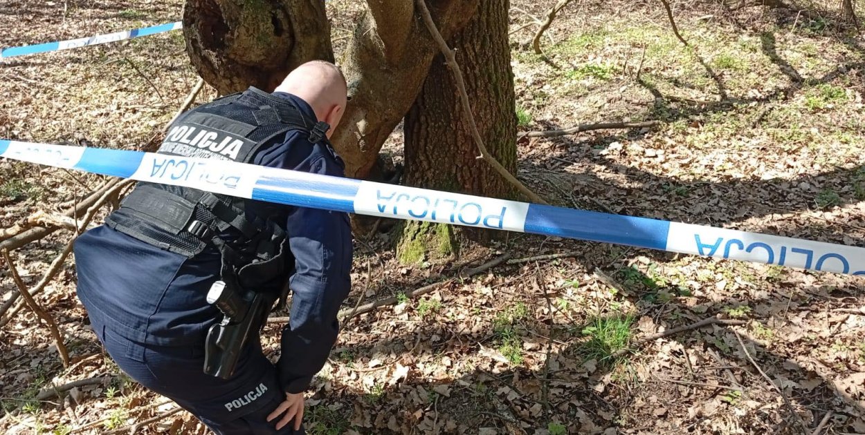 Niewybuch znaleziony w okolicy Miłakowa