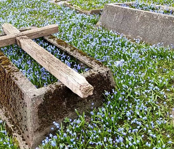 Stary cmentarz przy ul. Czarnieckiego w Ostródzie w niebieskim kolorze (video)